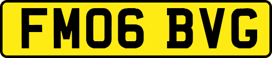 FM06BVG