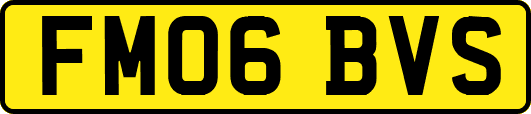 FM06BVS
