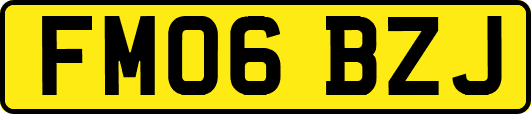 FM06BZJ