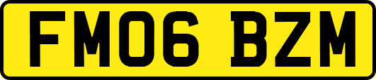 FM06BZM