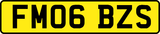 FM06BZS