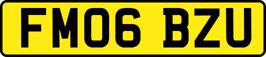 FM06BZU