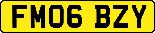FM06BZY