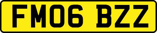 FM06BZZ