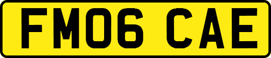 FM06CAE