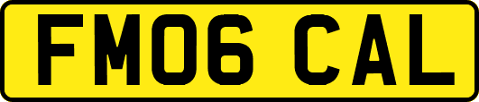 FM06CAL