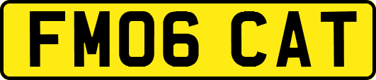 FM06CAT