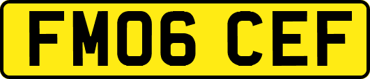 FM06CEF