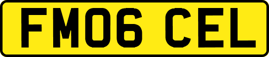 FM06CEL