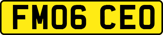 FM06CEO