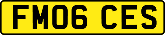 FM06CES