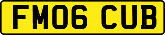 FM06CUB