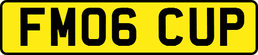 FM06CUP
