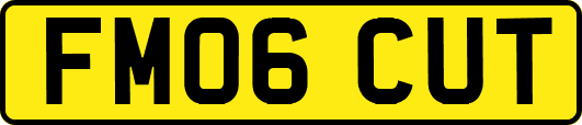 FM06CUT