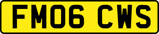 FM06CWS