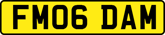 FM06DAM