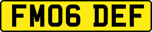 FM06DEF