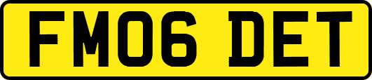 FM06DET