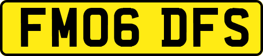 FM06DFS