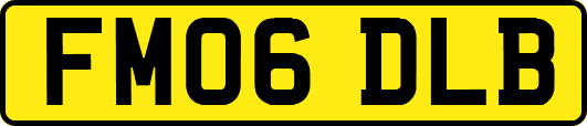 FM06DLB