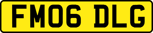 FM06DLG