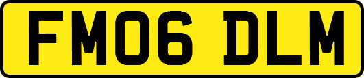 FM06DLM