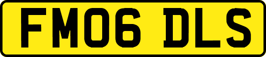 FM06DLS