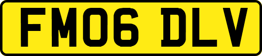 FM06DLV