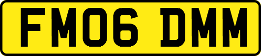 FM06DMM