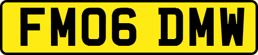 FM06DMW