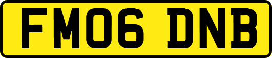 FM06DNB