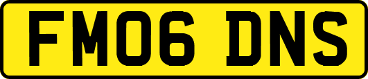 FM06DNS