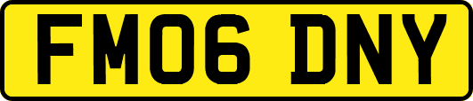 FM06DNY