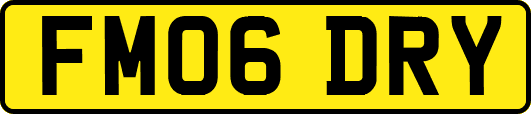 FM06DRY