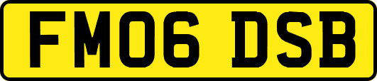 FM06DSB