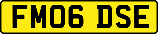 FM06DSE