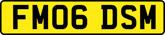 FM06DSM