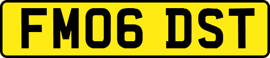 FM06DST