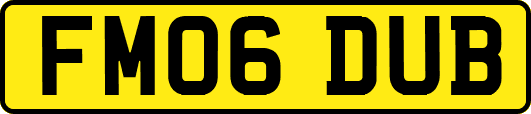 FM06DUB