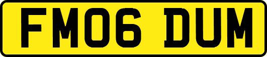 FM06DUM