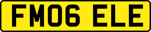 FM06ELE