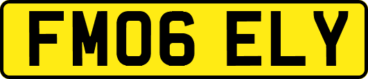 FM06ELY
