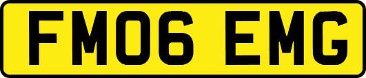 FM06EMG