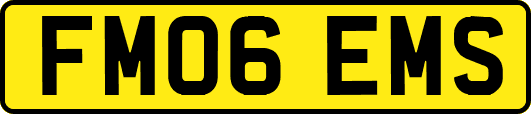 FM06EMS