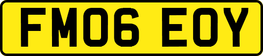 FM06EOY
