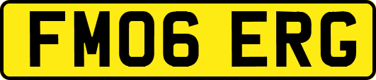 FM06ERG