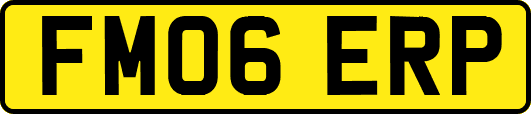 FM06ERP