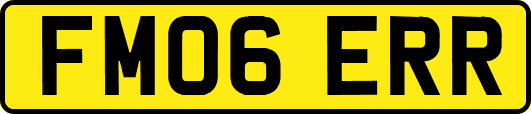 FM06ERR