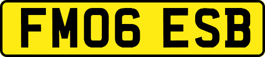 FM06ESB