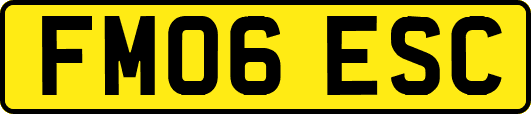 FM06ESC